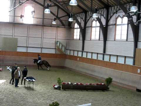 Stationstest Avenches 27.02.2010