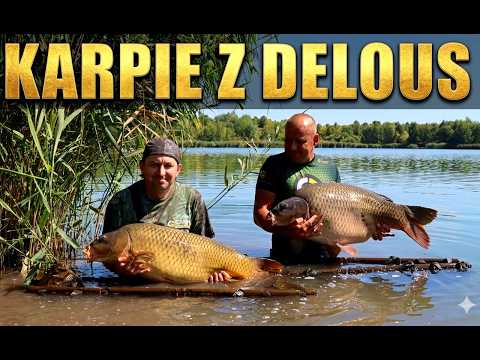 Karpie z Delous Karpiowe Wędrówki