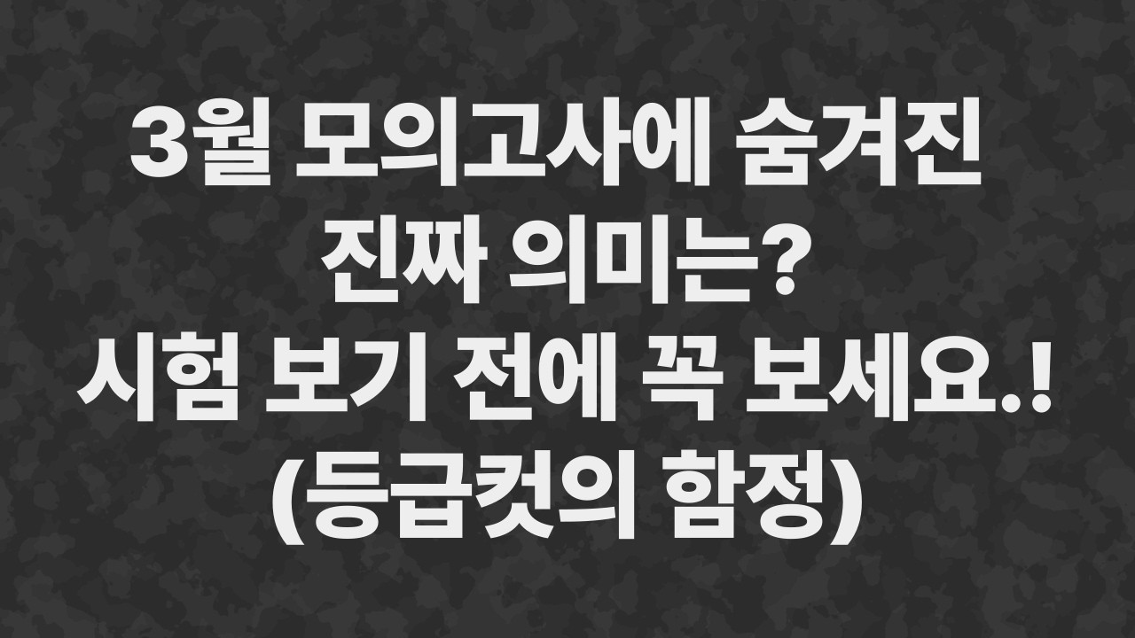 리로TV 이미지