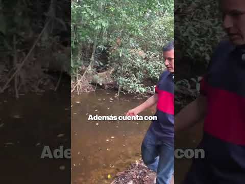🔥 Finca Productiva de 39 Hectáreas en Venta en San Martín Meta | Ganadería y Porcicultura 🐄🐖