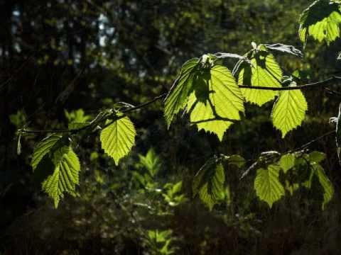 Jiří Zmožek - Dál točí se svět