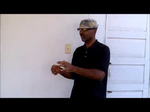 download lagu mp3 mp4 Bunnycoin, download lagu Bunnycoin gratis, unduh video klip Bunnycoin