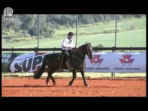 Classificatória Região SC/PR – 6° lugar fêmeas – Zilda dos Castanheiros (Prova: Bayard/Sarmento)