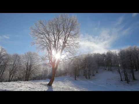 Ngjarjet e njerëzve të devotshëm, Asim bin Thabit! Fatjon Isufi
