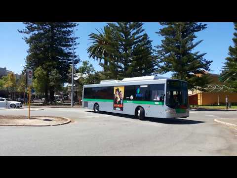 Transperth Mercedes-Benz OC500LE (Volgren CR228L) TP1925 Arrives @ Fremantle Station