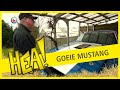 HEA! Goeie Mustang
