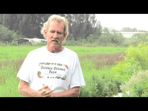 Organic Sound and Sensible Project - Non compliances