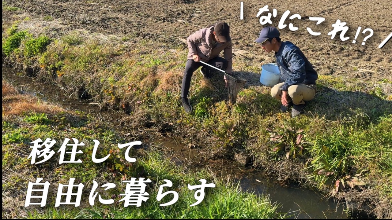 移住した夫婦の日常/田んぼの側溝でガサガサしたら謎の卵に出会いました【移住131】