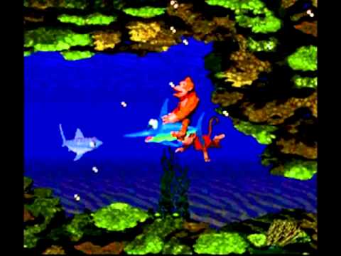 Aquatic Ambiance 10 Hours - Donkey Kong Country