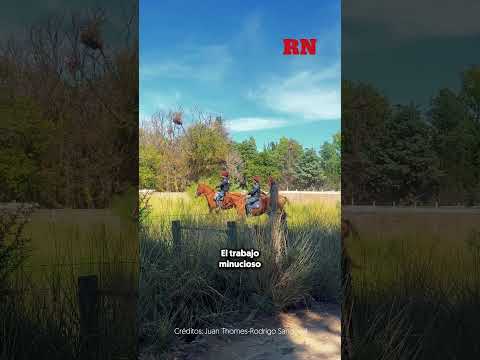 Intenso operativo de búsqueda de Kevin Hernández, el joven desaparecido en Lamarque