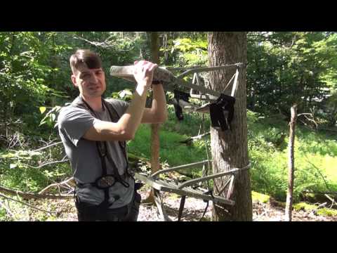 download lagu mp3 mp4 How To Set Up A Tree Stand, download lagu How To Set Up A Tree Stand gratis, unduh video klip How To Set Up A Tree Stand