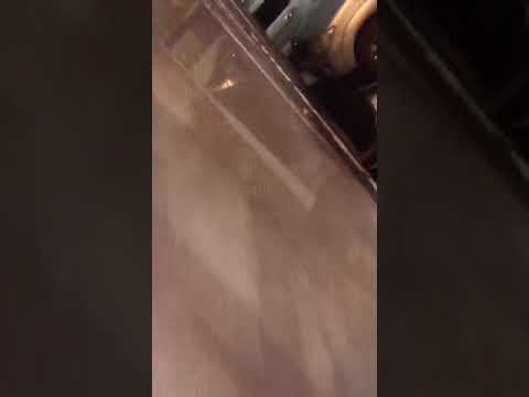 JOSE LUIS ZAGAR borracho con Leandro Rios