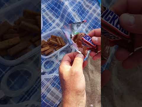 poor snickers #shorts #chocolate #snickers #summer #yummy #melting