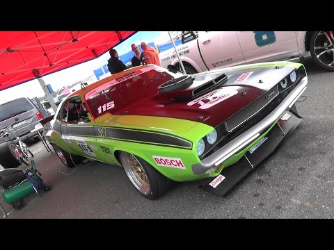 Dodge Challenger (1970) - Beat Gubler #115 - Bosch Hockenheim Historic 2021 - Hockenheim