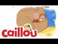 Caillou Caillou Helps Out S04E04 Videos For Kids