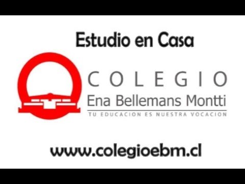 Historia 8º Básico, 25 al 29 de mayo