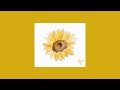 Non Copyright 1 Hour Loop Sunflower LuKremBo Royalty Free Music Lily Avenue