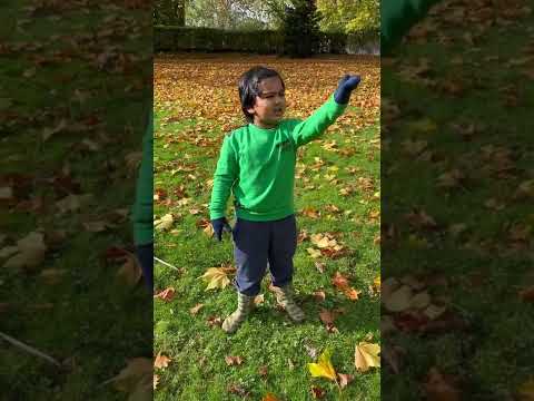 Enjoy the Beauty of Golden Leaf🍁Viyan Mehta (UK🇬🇧Coventry)