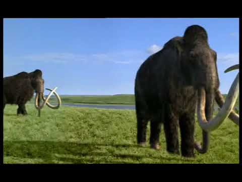 Walking with Beasts Se1 - Ep06 Mammoth Journey - Part 02