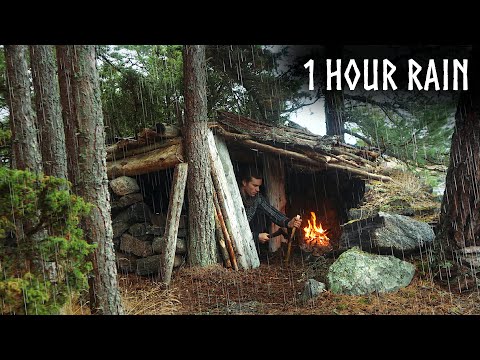 🌧️Camping in RELAXING RAIN: 1 Hour of Rain & Nature Sounds for Sleep and Calm