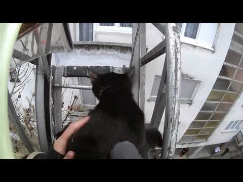 Jedan minut iz... (3) / One minute from... 2019. - Vatrogasci Prijedor