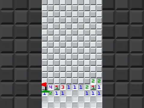 MineFinitum