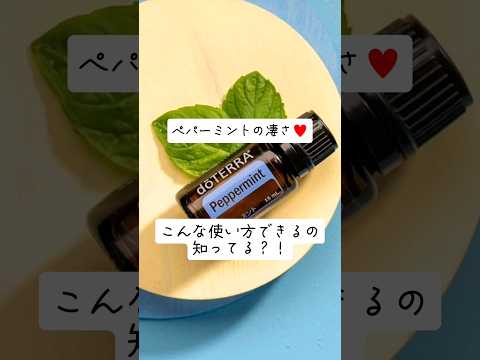 アブラムシやコナカイガラムシを自然に駆除する