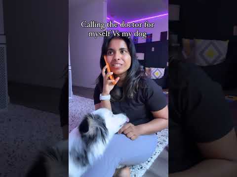 La razón por la que siempre estoy en la ruina. #perrogracioso #perros #miniaussie #perroslindos #...