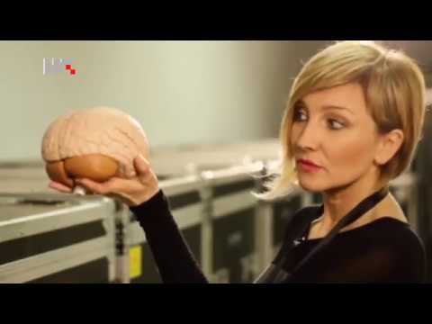 Žene povjerljivo - Iz muškog kuta - Tarik Filipović