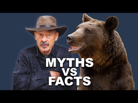 Eps 353: The BEST Bear Defense Options - Myths vs Facts