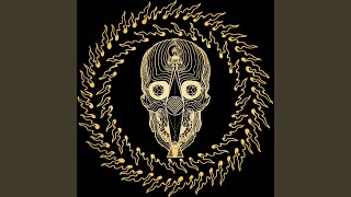 Worms Will Feed (Live)