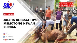 Download lagu JULEHA BERBAGI TIPS MEMOTONG HEWAN KURBAN mp3 Download lagu JULEHA BERBAGI TIPS MEMOTONG HEWAN KURBAN mp3