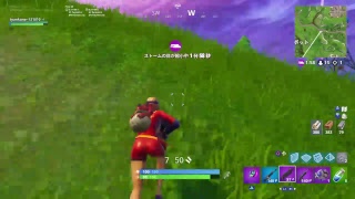 ちょっとチャンのフォートナイト