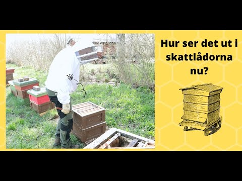 Helgjobb! skattlådor på