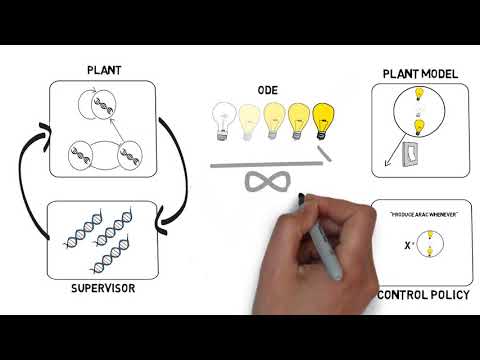Control Laws for Gene Regulatory Networks