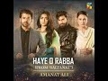Sultanat  OST  Haye O Rabba  Lyrics   Sultanat  New Pakistani Drama Ost Song 2024