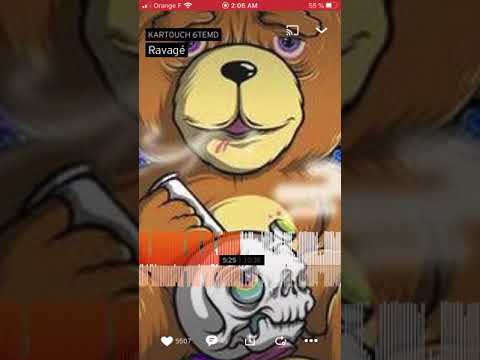 Ravage KARTOUCH 6TEMD