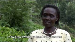 preview picture of video 'Emily Marigu Ireri's Sweet Potatoes - Kiaragana Village Njeru-ri - Kenya'