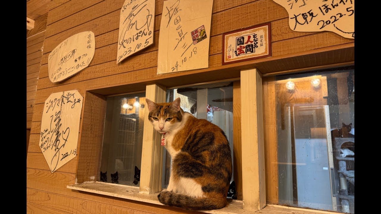 Thank you for your support in March! We truly appreciate everyone’s support.