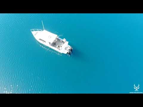 Mile High Fishing Charters Promo