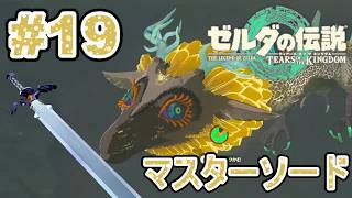 #19  最後の竜の泪と魔王討にむけて【ゼルダの伝説 ティアーズ オブ ザ キングダム】実況プレイ