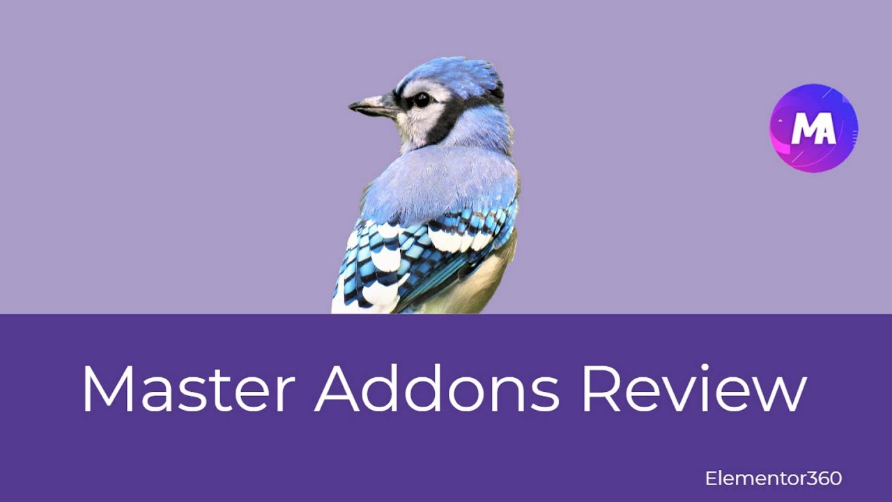 Master Addons for Elementor Review