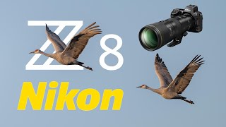 Nikon Z8 Sandhill Cranes in Flight 600mm 6.3 VR S PF