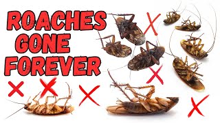 17 Ways to Get Rid of Cockroaches Using Household Items You Already Have!