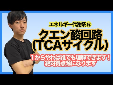 トロキリ亜科について詳しく解説