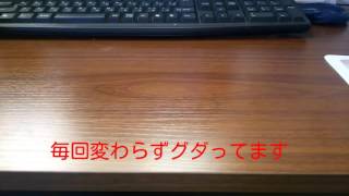 【ラブライブ】ウエハース開封動画#5今回は何が当たる！？   【Aqours】