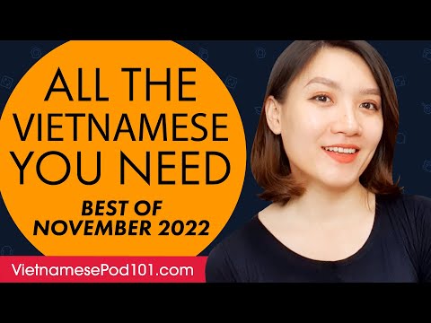 Your Monthly Dose of Vietnamese - Best of November 2022