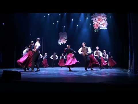 TDK “Zalktis” koncertā  AIZ VEF KP 21.02.2026