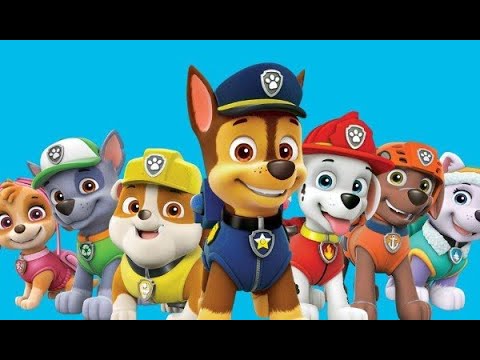 Psi Patrol | Zadania edukacyjne | Bajki dla dzieci po polsku