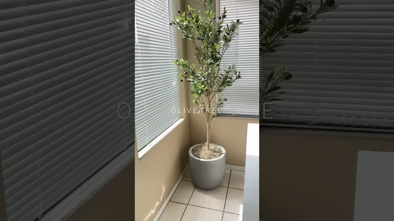 faux artificial olive tree hack. #homedecor #amazonfinds #olivetree